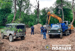 Упродовж 2020-2021 років на Буковині зареєстрували майже 170 кримінальних проваджень щодо порушень охорони природи