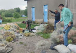 Чернівецький рибоохоронний патруль знищив на Дністрі понад 3 км браконьєрських сіток