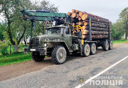 У буковинських Карпатах далі нищать ліси. Поліція зафіксувала нові випадки перевезення та зберігання незаконно зрубаної деревини