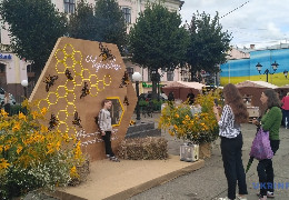 У Чернівцях розпочався дводенний благодійний фестиваль меду і трав'яного чаю