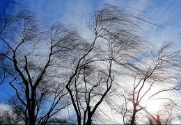 Синоптики зробили штормове попередження: на Буковині очікують ожеледицю та сильний вітер