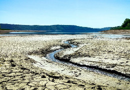 Екологи в шоці: Дністер на Буковині катастрофічно обмілів через неймовірний скид води на ГАЕС для покритя дефіциту в енергосистемі