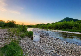 На Буковині пересихає річка Сірет: рівень води опустився до рекордно низької позначки