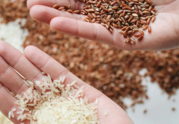 Шліфований чи нешліфований: який рис корисний для вашого здоров'я?